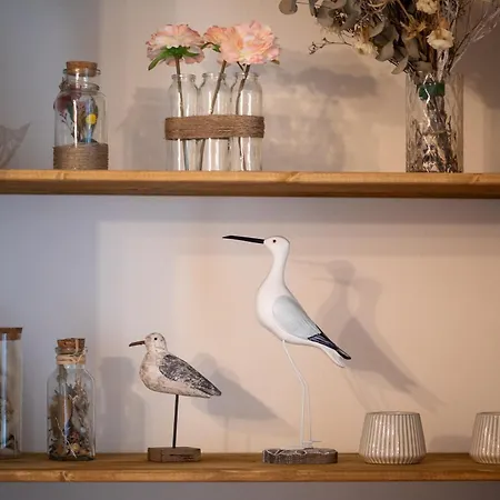 La Maxine, Vue Et Criel-sur-Mer